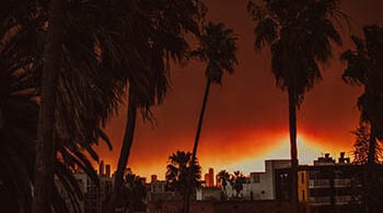 Photo of palm trees and an apartment building in LA, with LA wildfires and dark orange sky in the background
