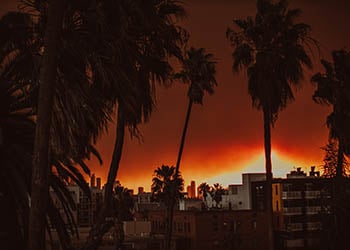 Photo of palm trees and an apartment building in LA, with LA wildfires and dark orange sky in the background