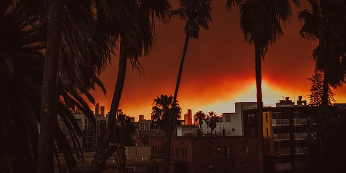 Photo of palm trees and an apartment building in LA, with LA wildfires and dark orange sky in the background